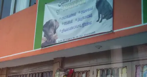 COMIDA PARA MASCOTAS RAIKAN COMIDA PARA MASCOTAS RAIKAN